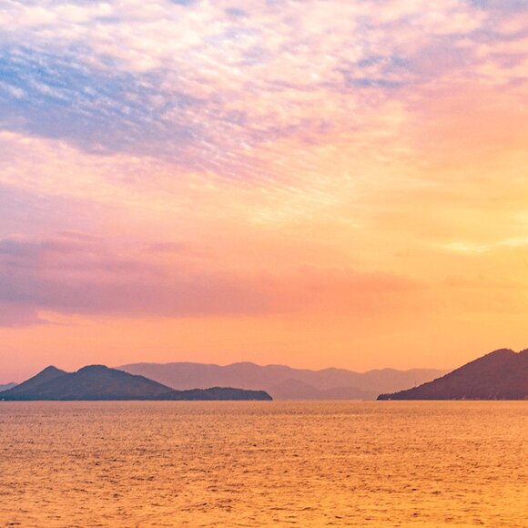 Profile (Not for Sale) - Picture 1 of 1